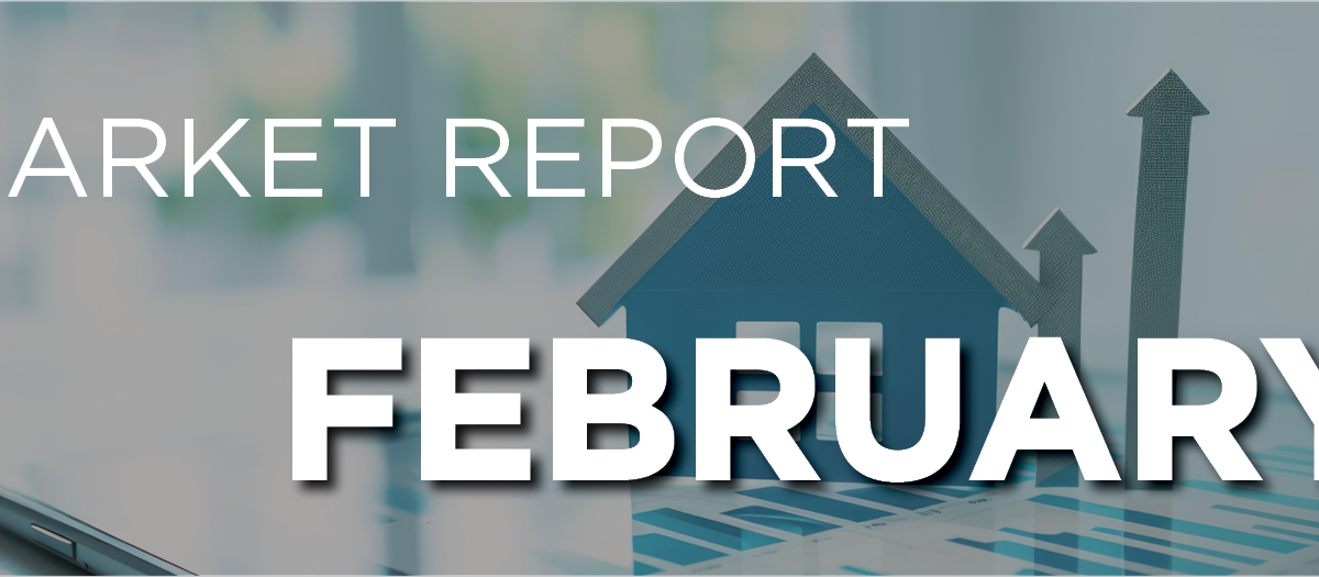Market Reports - February